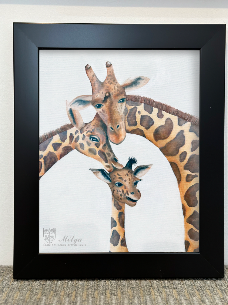 Girafes - Mélya Coulombe