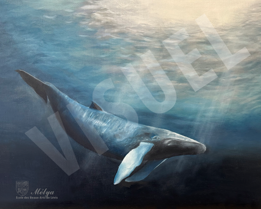 Baleine - Mélya Coulombe