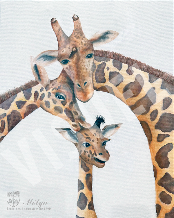 Girafes - Mélya Coulombe