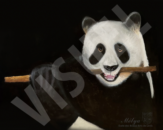 Le Dîner du Panda - Mélya Coulombe