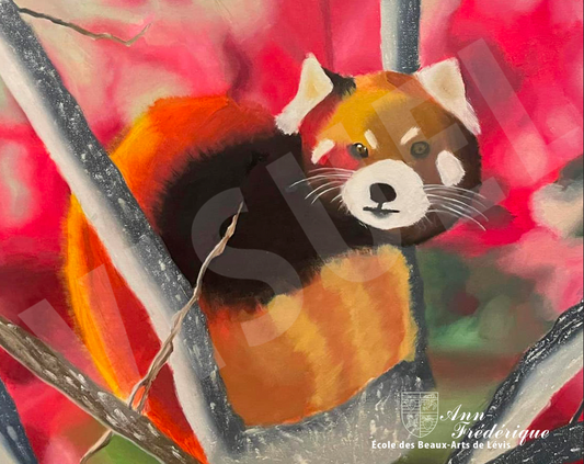 Le Panda Roux - Ann-Frédérique Blouin