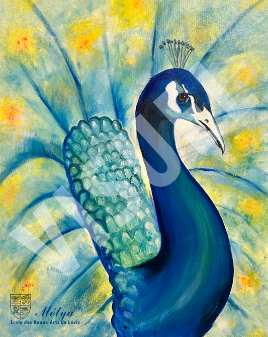 Peacock - Mélya Coulombe